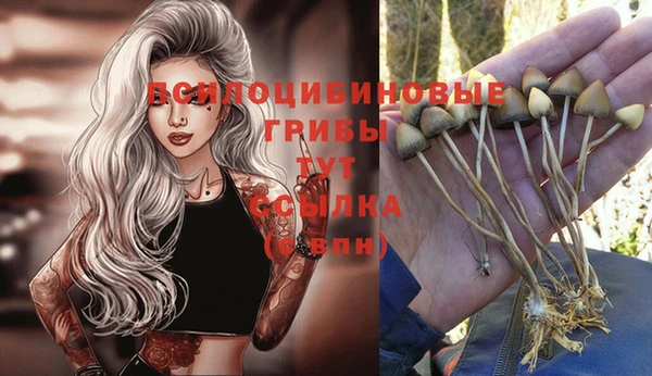 2c-b Михайлов