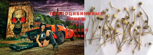 2c-b Михайлов