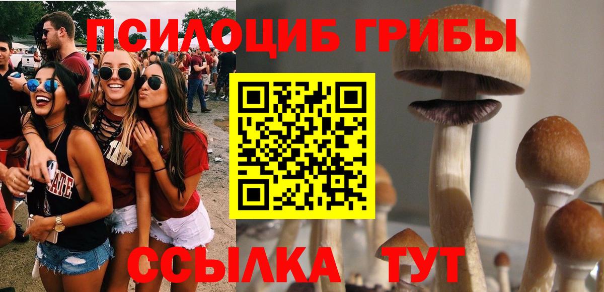 Псилоцибиновые грибы ЛСД  Новотроицк 