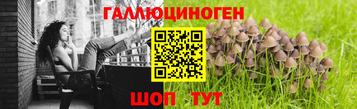 Новотроицк  Галлюциногенные грибы Magic Shrooms  Вход с VPN 