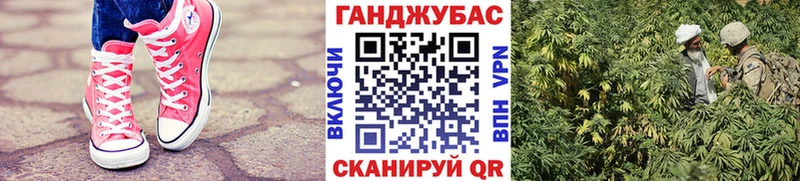 Каннабис план Новотроицк