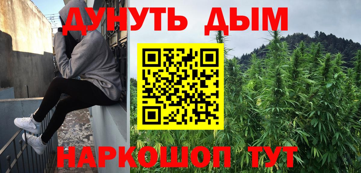 Бошки Шишки конопля Новотроицк